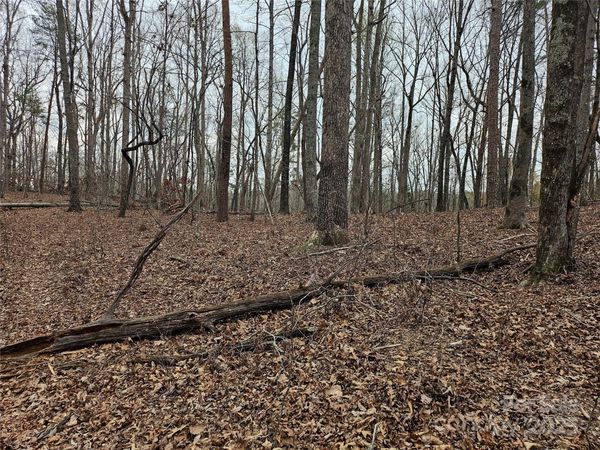 000 Weaver Mill Road, Columbus, NC 28722