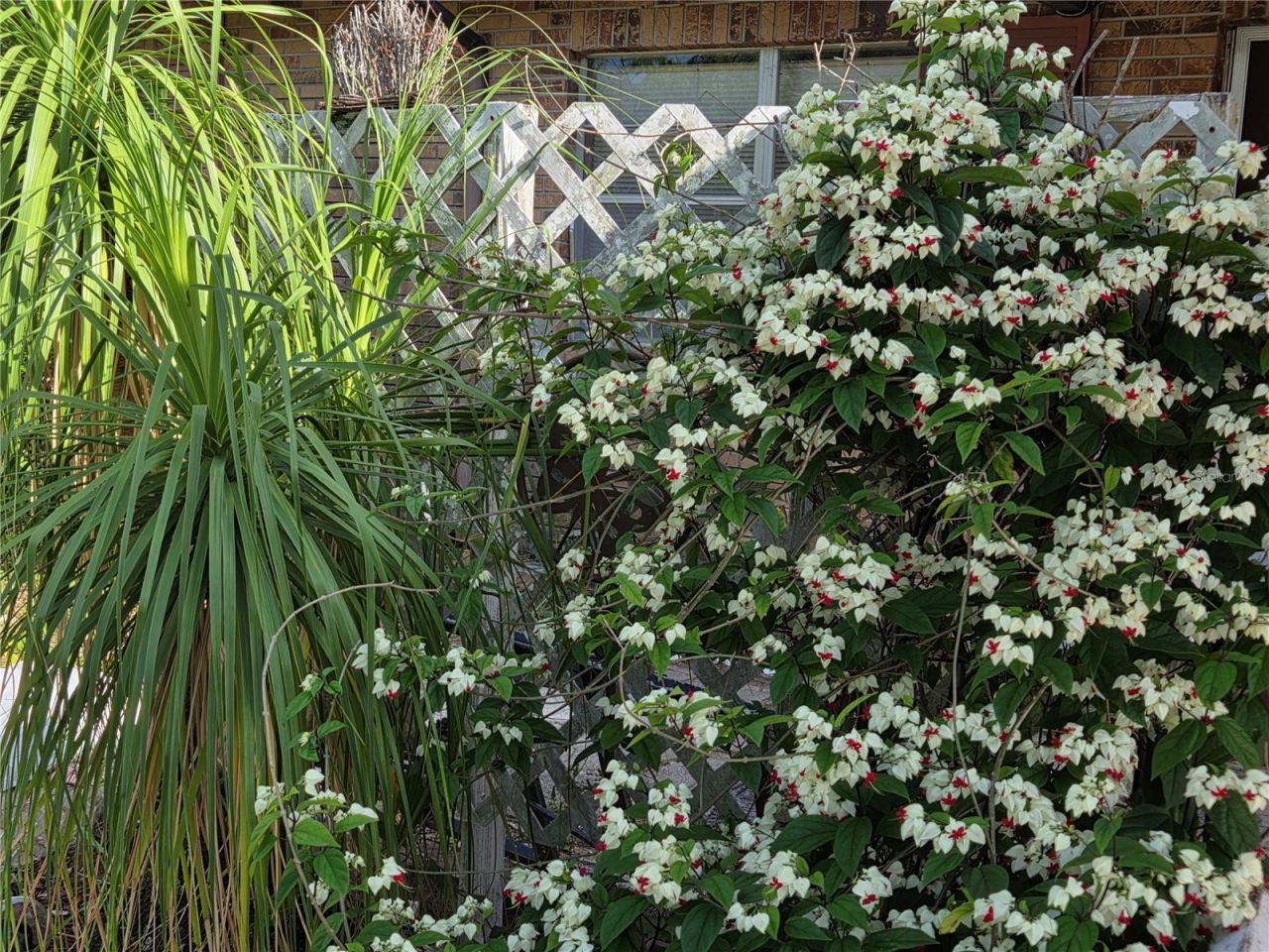 115 Marjorie Avenue, Auburndale, FL 33823 Photo