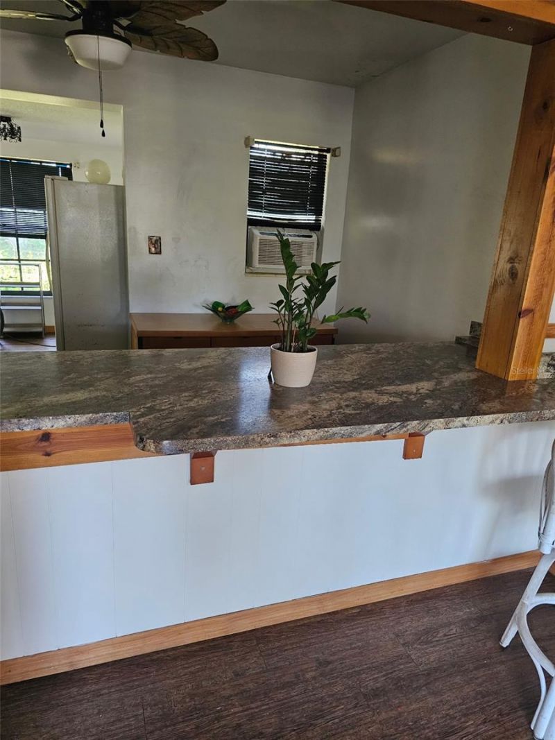 115 Marjorie Avenue, Auburndale, FL 33823 Photo