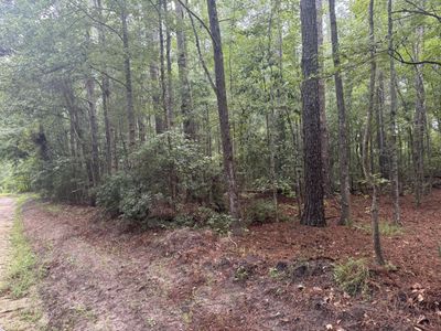 00 Charles Street, Varnville, SC 29944