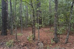 00 Charles Street photo 4