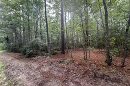 00 Charles Street photo 4