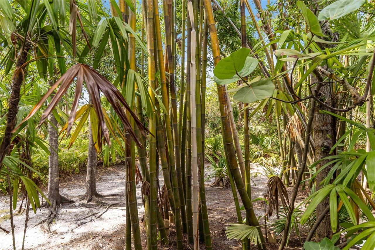 642 N Jefferson Avenue, Unit 13, Sarasota, FL 34237 Photo