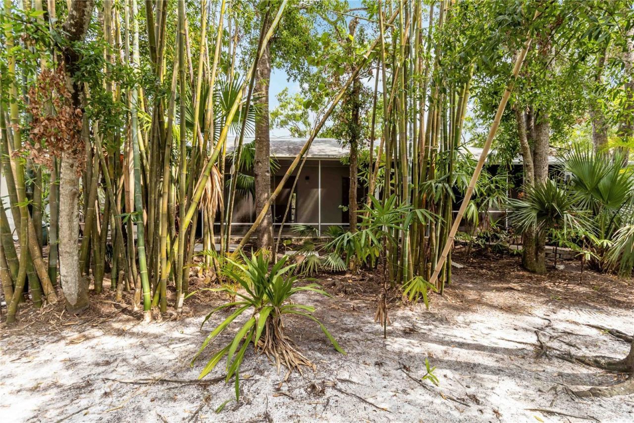 642 N Jefferson Avenue, Unit 13, Sarasota, FL 34237 Photo