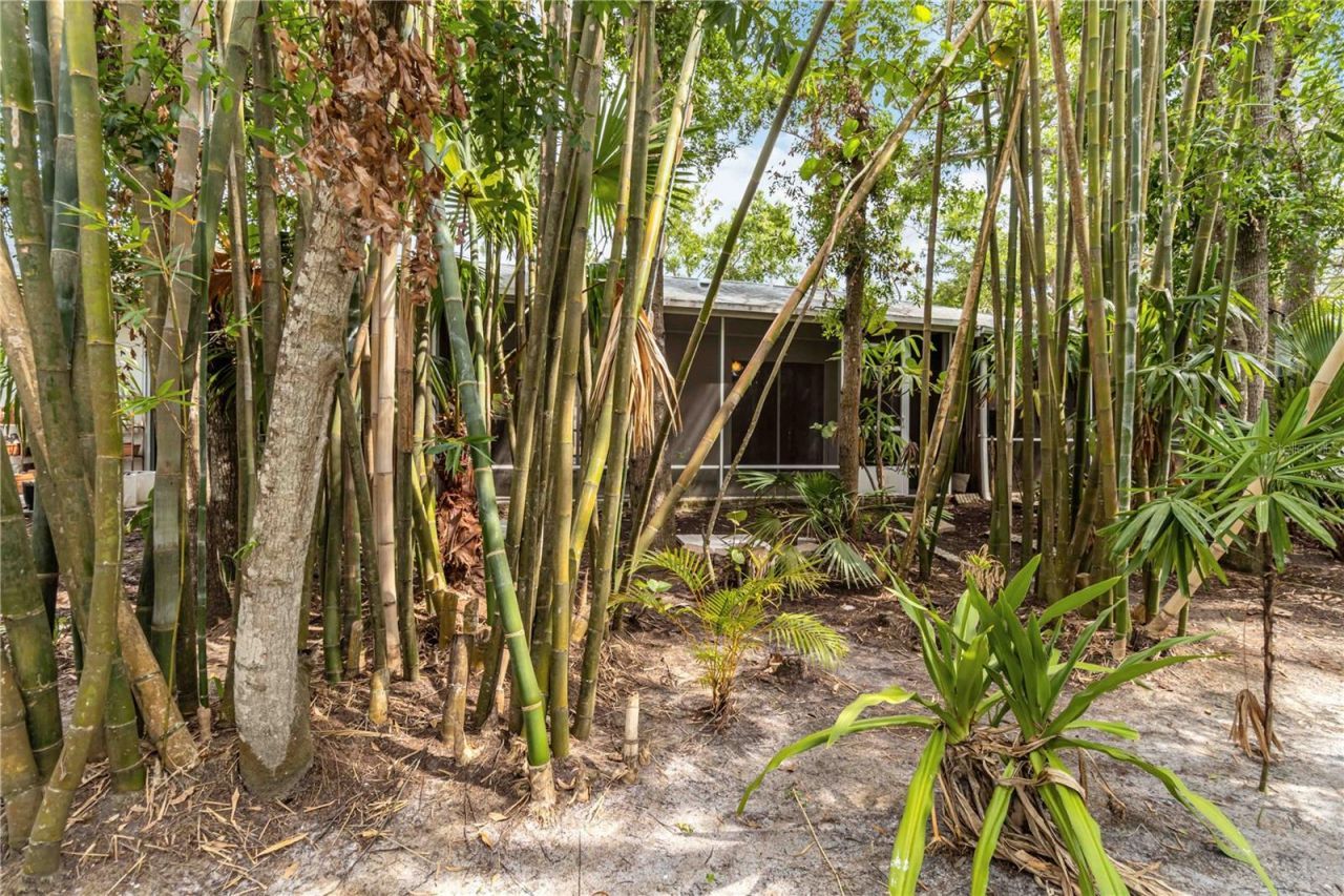 642 N Jefferson Avenue, Unit 13, Sarasota, FL 34237 Photo