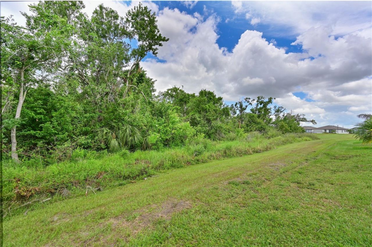 8916 Isabella Circle, Parrish, FL 34219 Photo