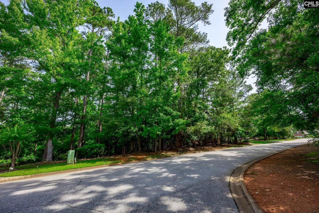 506 Timberlake Drive Photo 16