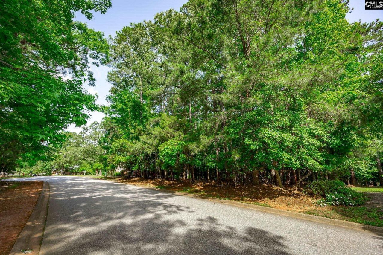 506 Timberlake Drive Photo 17