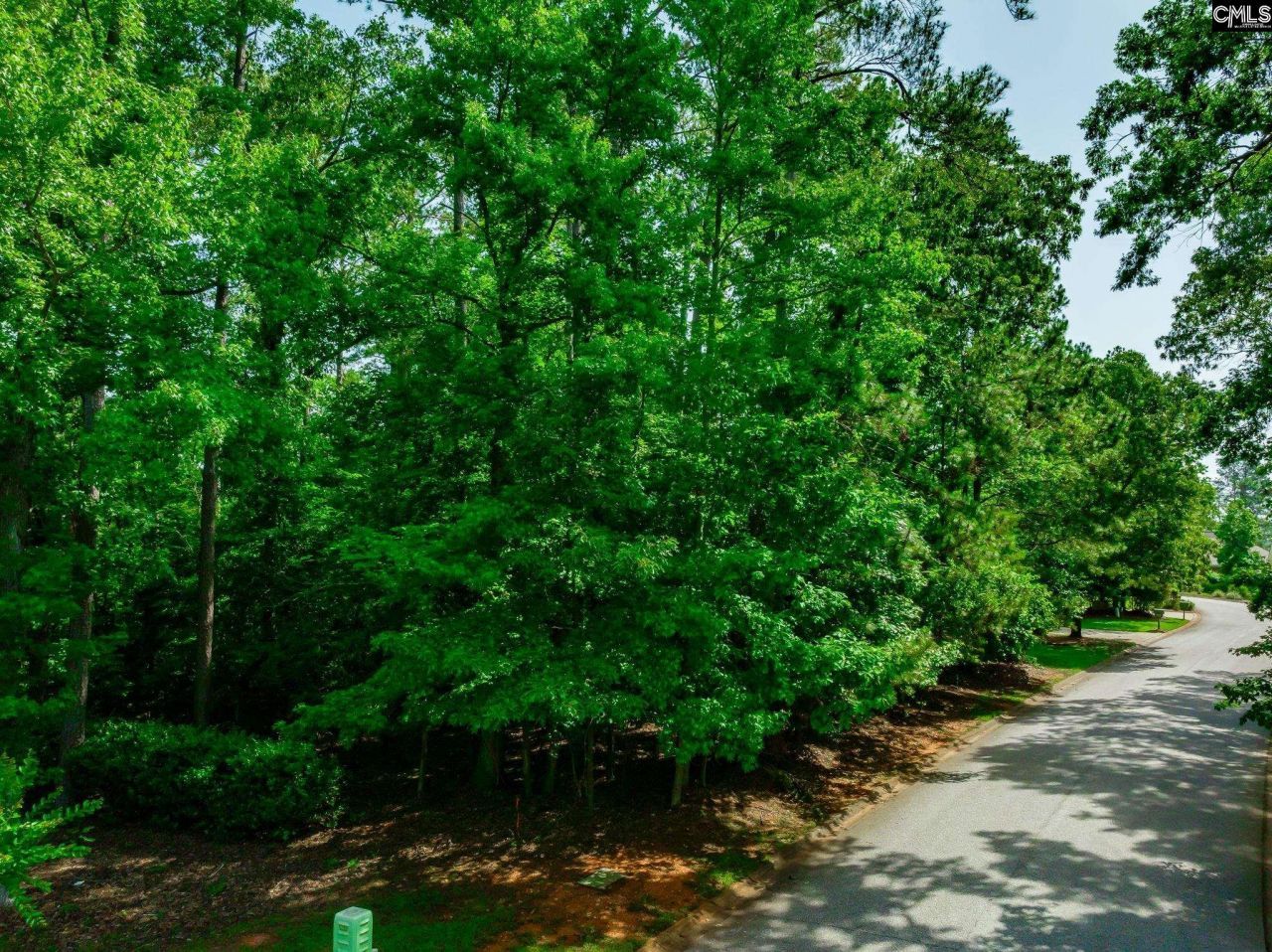 506 Timberlake Drive Photo 18