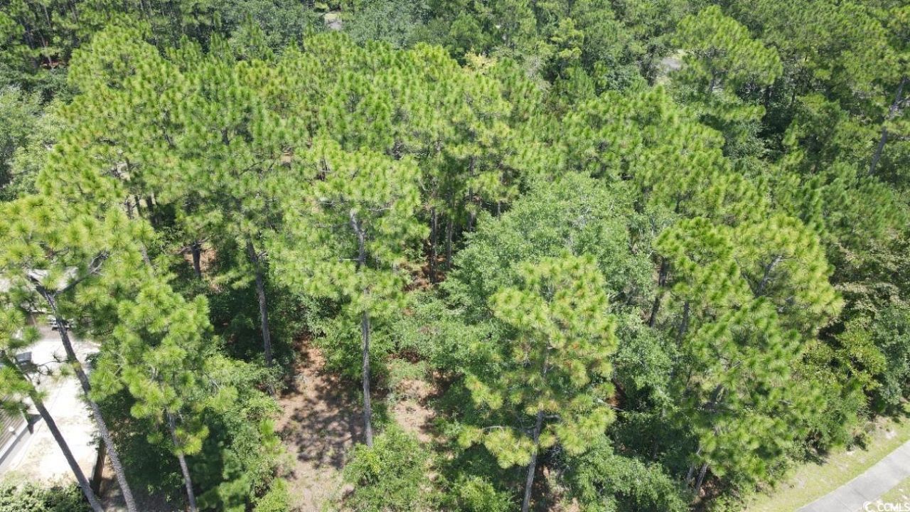 Tbd Bridge View Rd. Photo 7