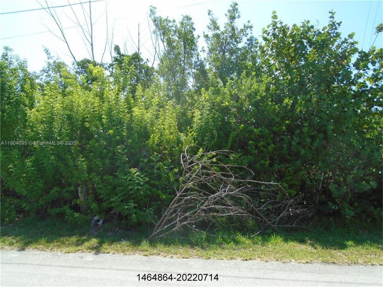 113 Jamaica St, Duck, FL 33050 Photo