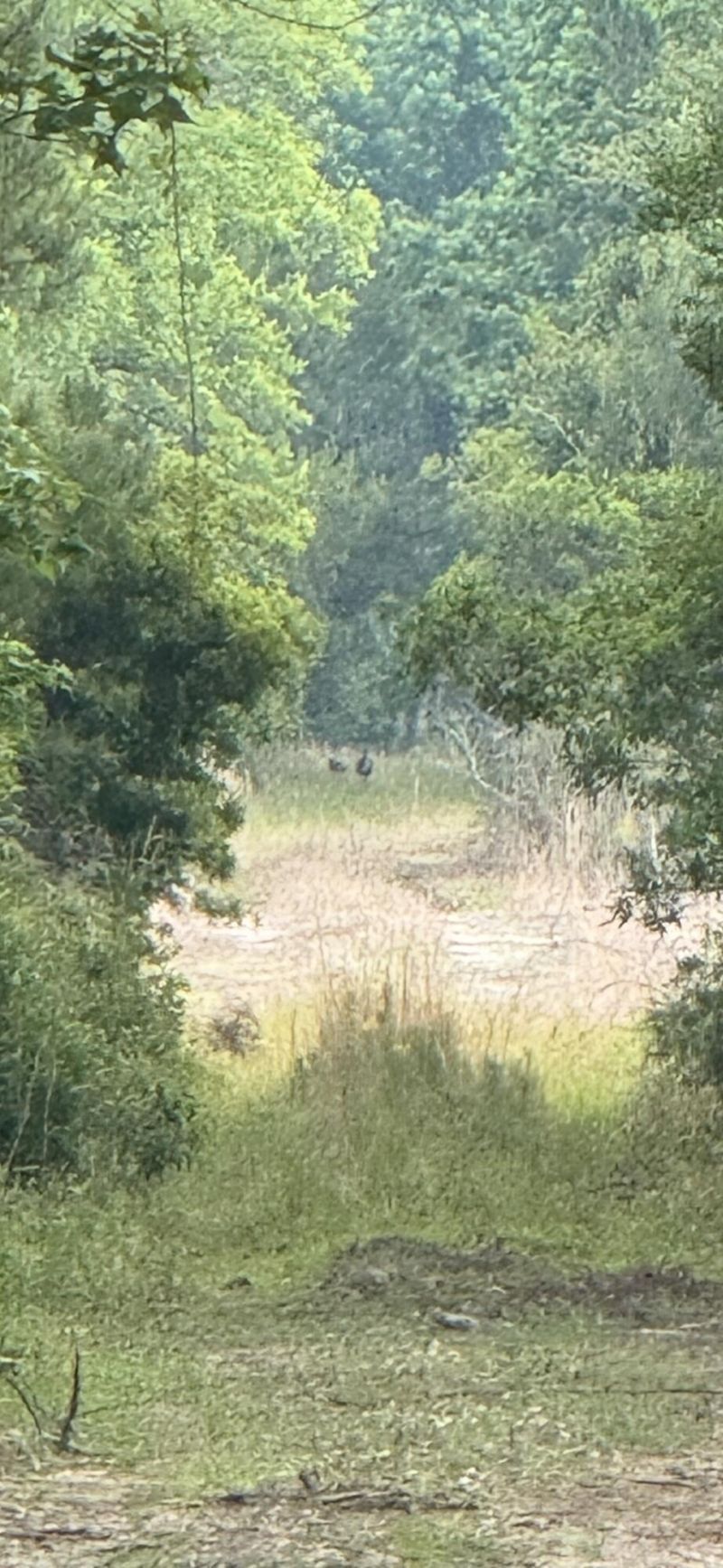1-a Mt. Carmel Road Photo 2
