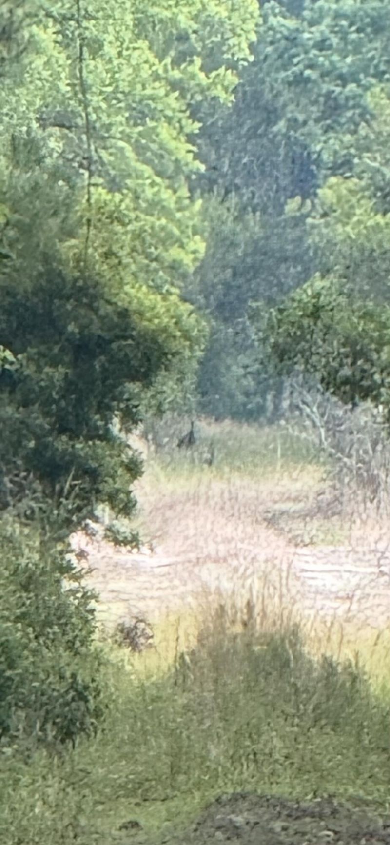 1-a Mt. Carmel Road Photo 3
