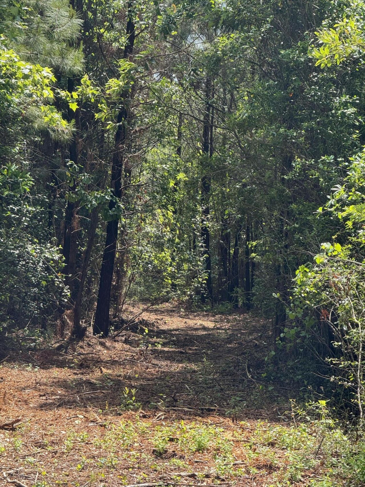 1-a Mt. Carmel Road Photo 6