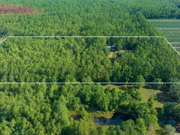11521 SE 1ST STREET ROAD, SILVER SPRINGS, FL 34488