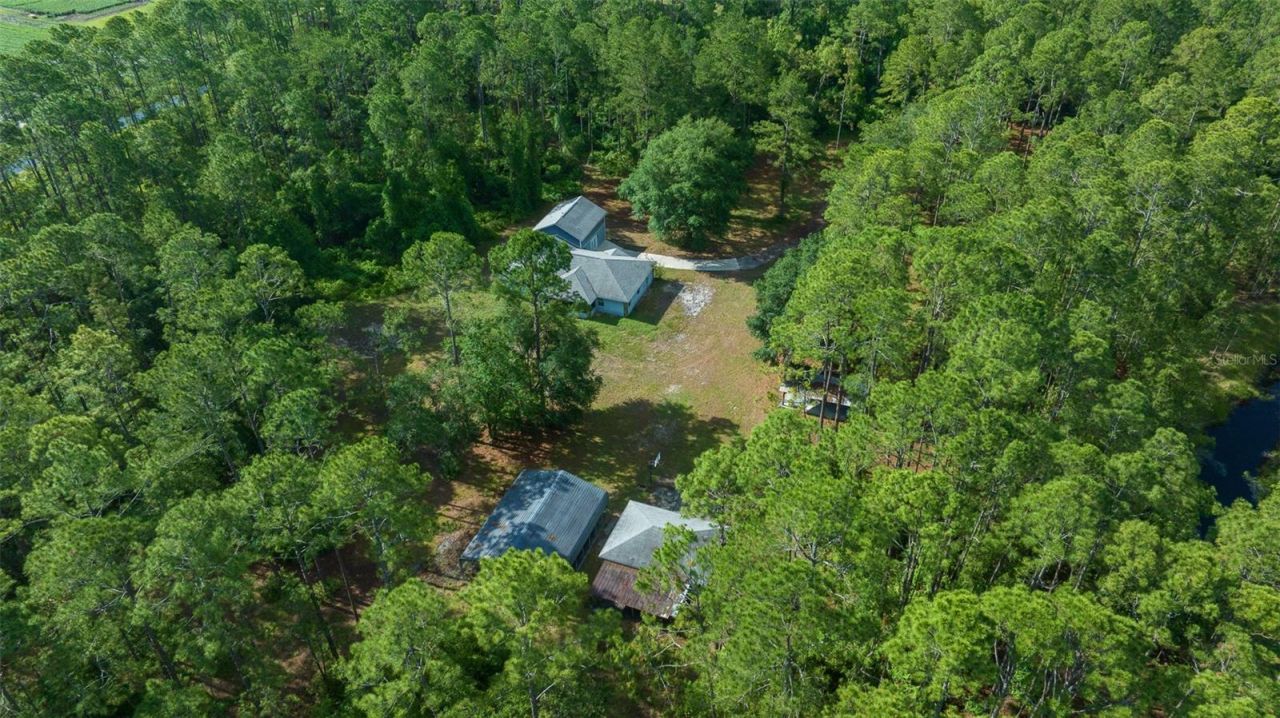 11521 SE 1st Street Road, Silver Springs, FL 34488 Photo