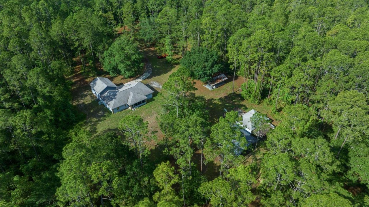 11521 SE 1st Street Road, Silver Springs, FL 34488 Photo