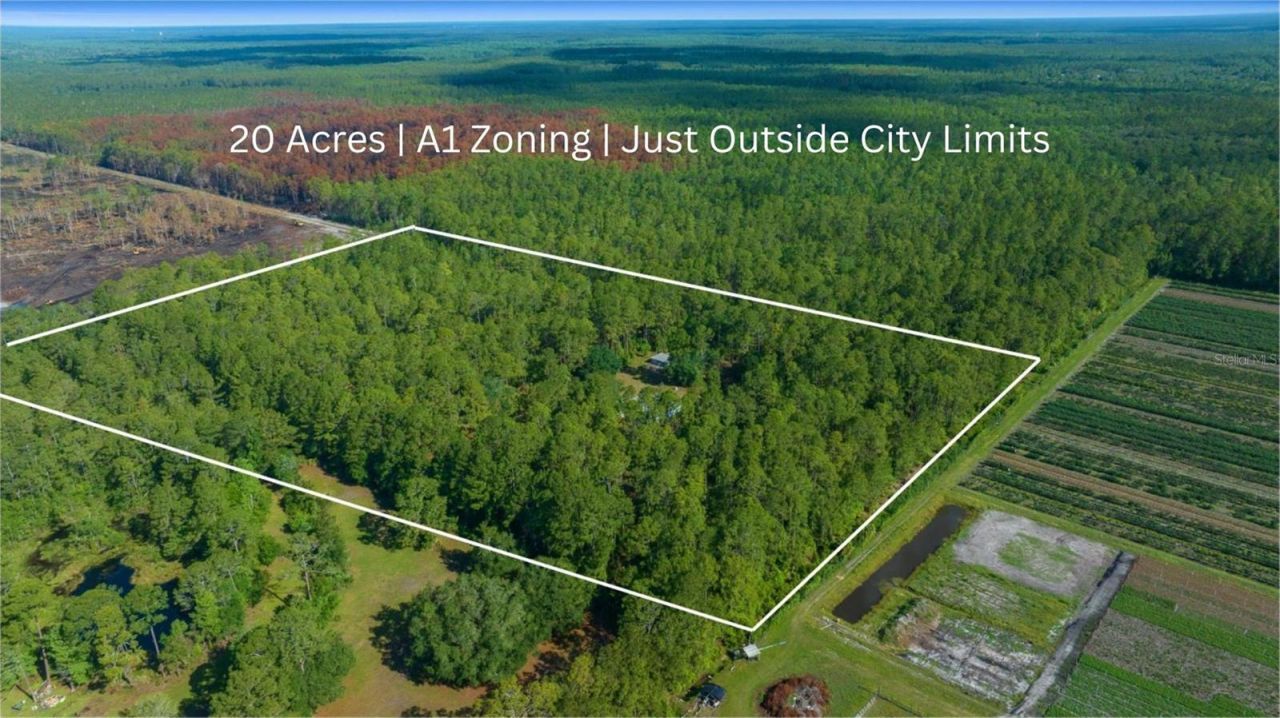 11521 SE 1st Street Road, Silver Springs, FL 34488 Photo