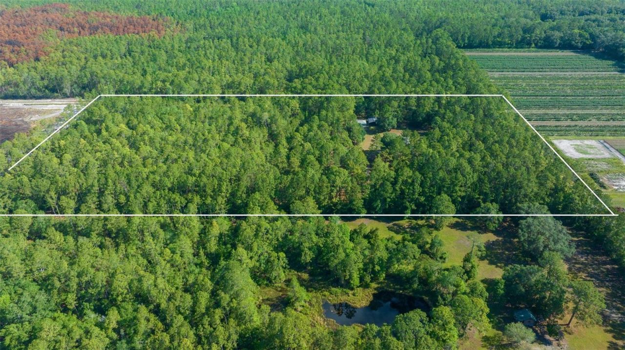 11521 SE 1st Street Road, Silver Springs, FL 34488 Photo