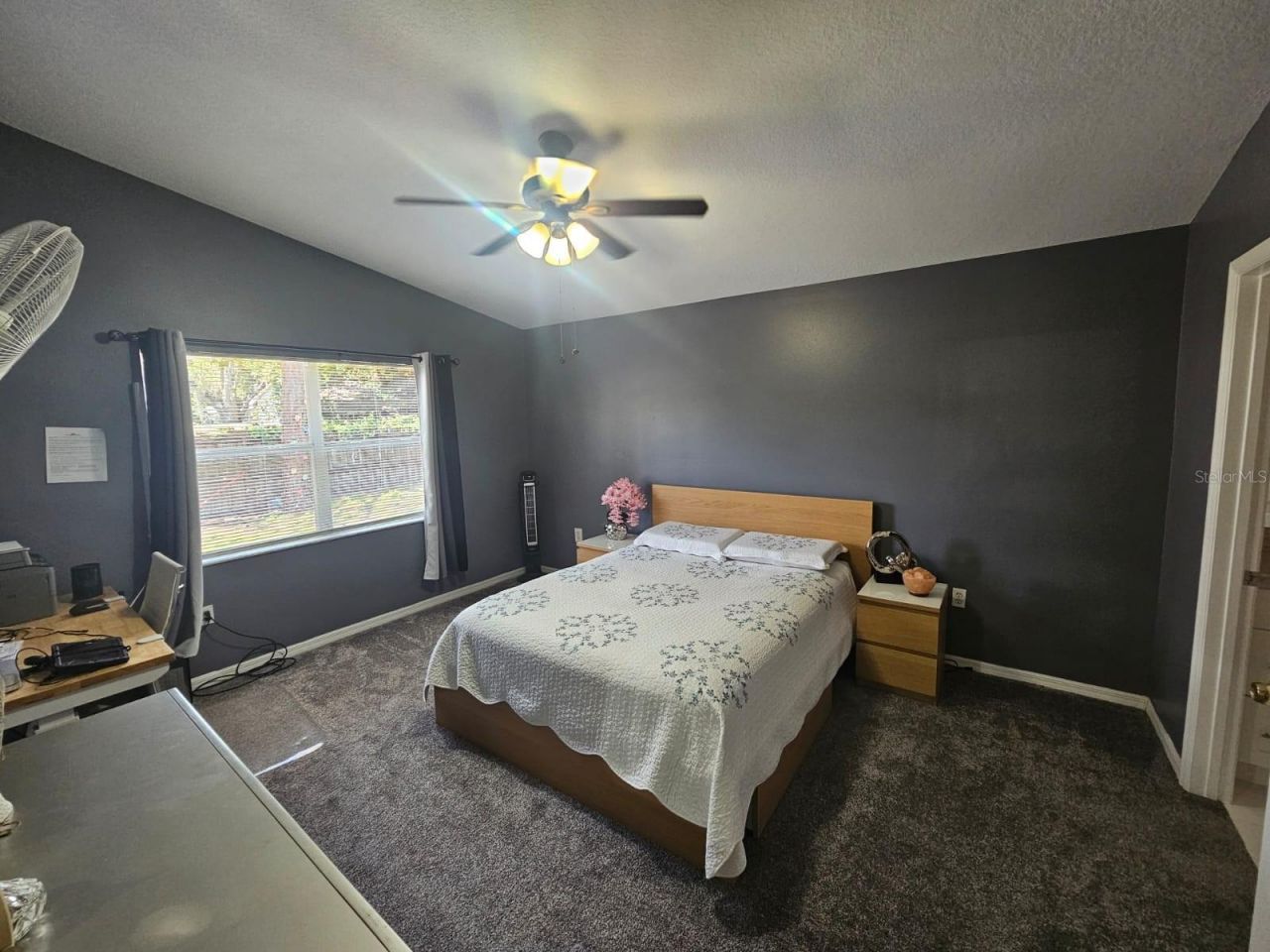 6436 Fig Leaf Street, Magnolia Square, FL 34771 Photo