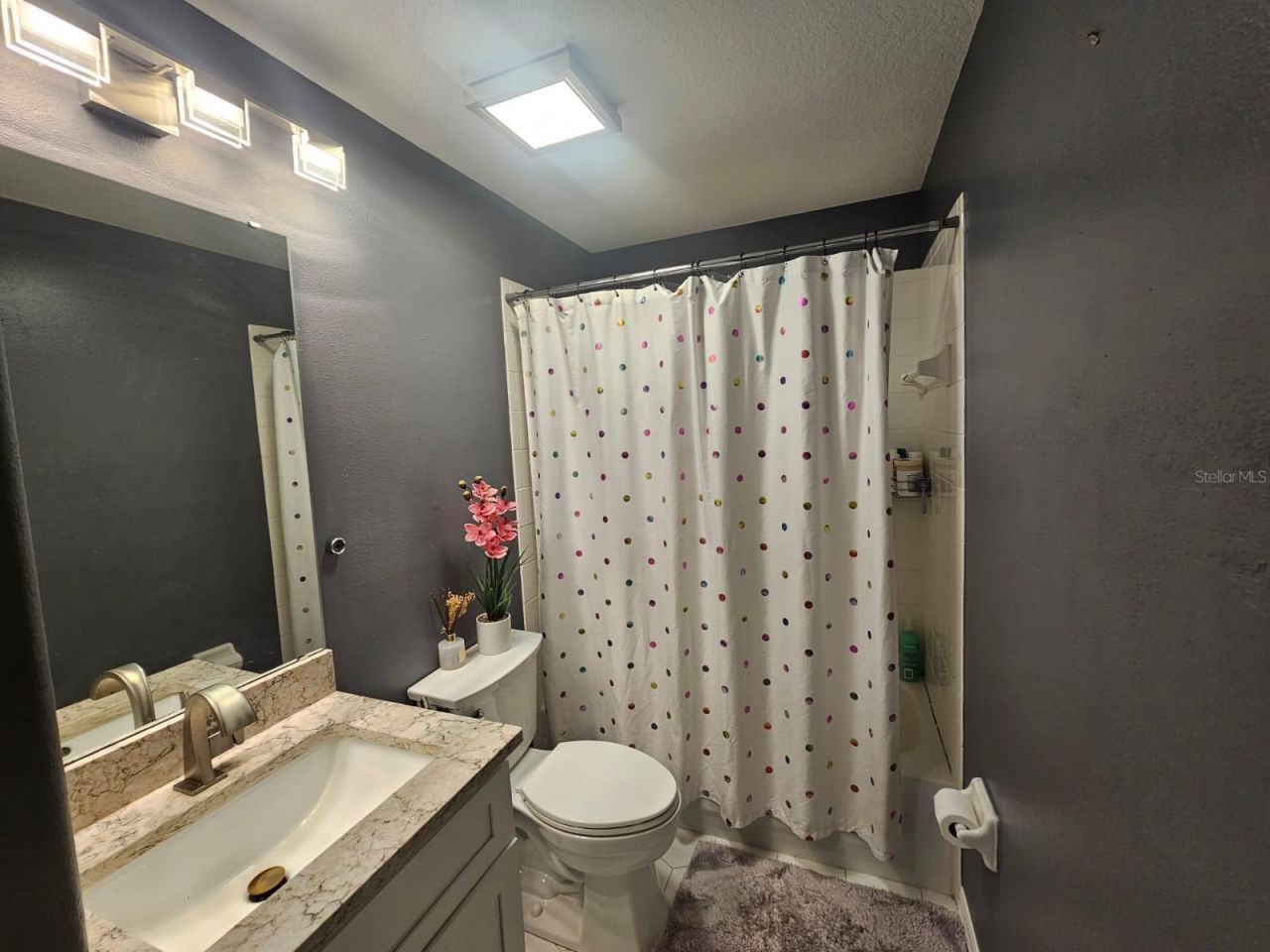 6436 Fig Leaf Street, Magnolia Square, FL 34771 Photo