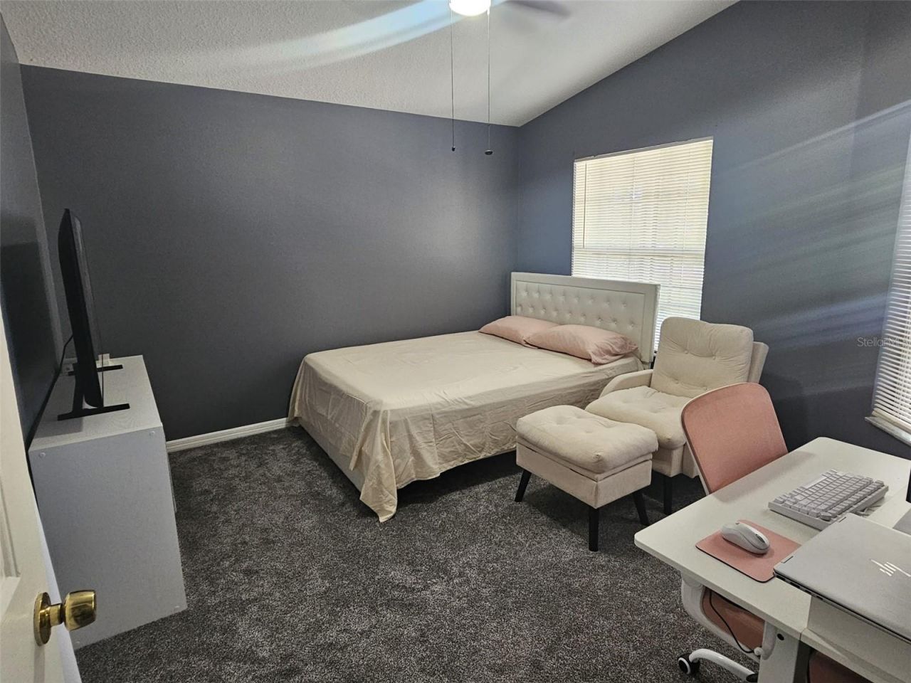 6436 Fig Leaf Street, Magnolia Square, FL 34771 Photo