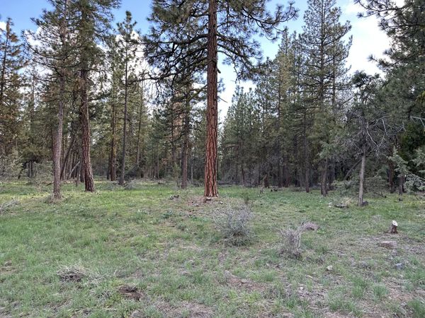 Red Deer Lane, Unit Lot 2, Bonanza, OR 97623