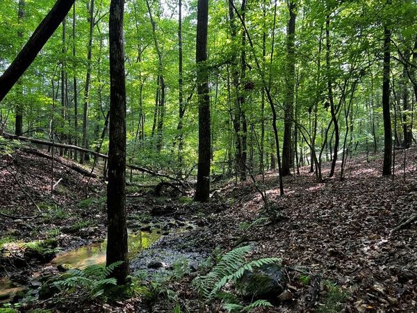 3.52 AC Payne Way, Blairsville, GA 30512