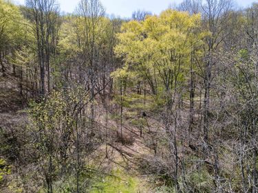 0 Route 3 Mahone Creek Road, Hamlin, WV 25517