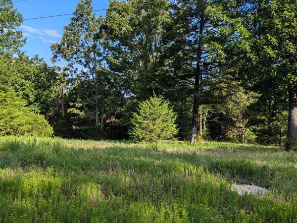 1145 Lake Point Road, Kissee Mills, MO 65680