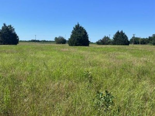 00 SE CR 3321, Kerens, TX 75144