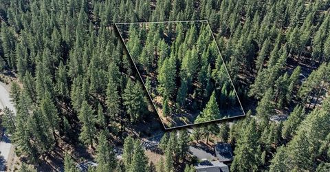 12062 Saddleback Drive, Truckee, CA 96161 Photo