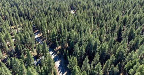 12062 Saddleback Drive, Truckee, CA 96161 Photo