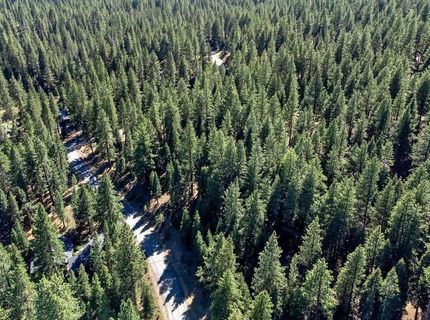 12062 Saddleback Drive, Truckee, CA 96161 Photo