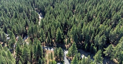 12062 Saddleback Drive, Truckee, CA 96161 Photo