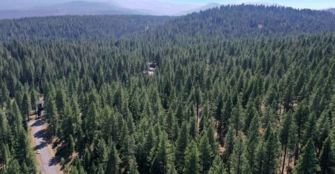 12062 Saddleback Drive, Truckee, CA 96161 Photo