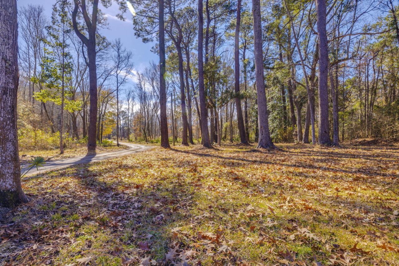 4294 River Road Photo 20