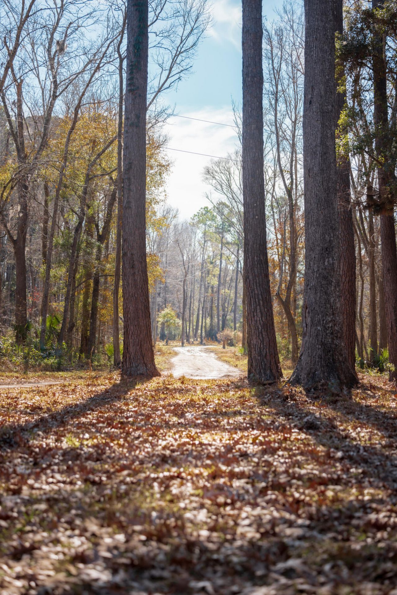 4294 River Road Photo 27