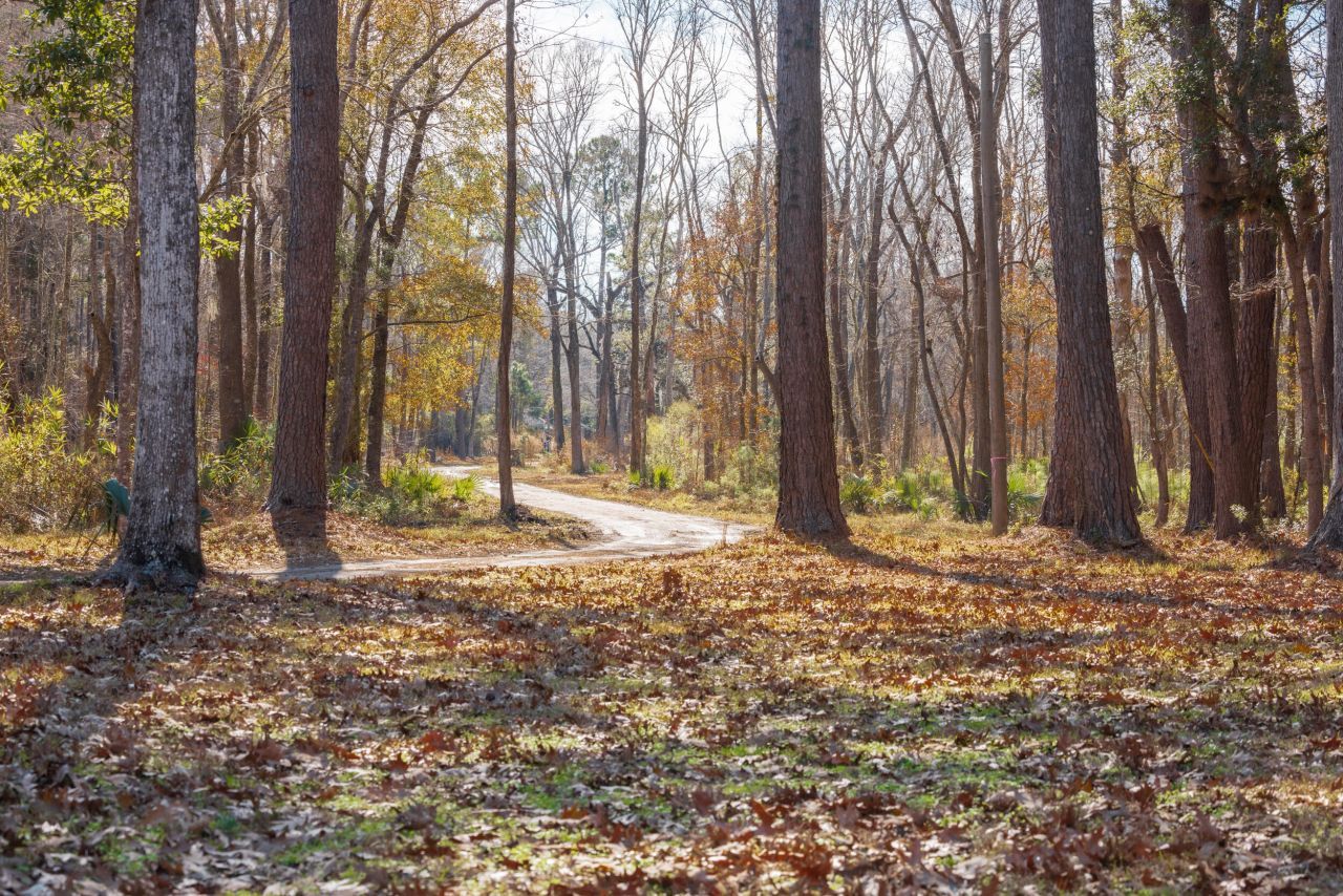 4294 River Road Photo 29