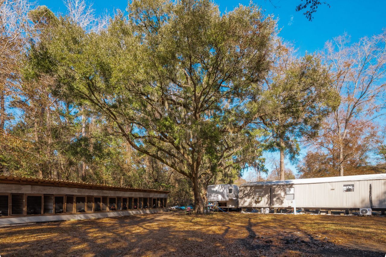 4294 River Road Photo 32