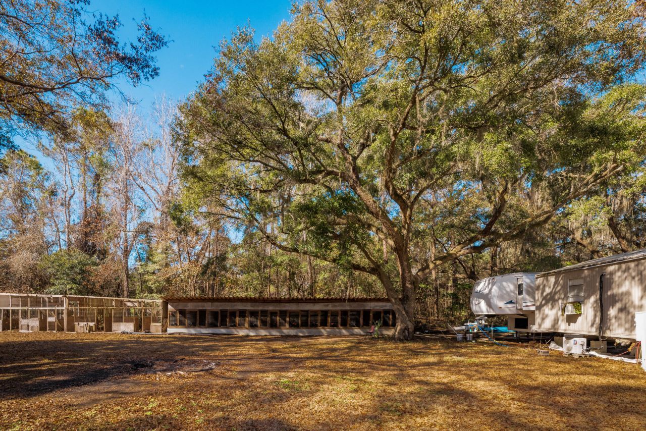 4294 River Road Photo 35