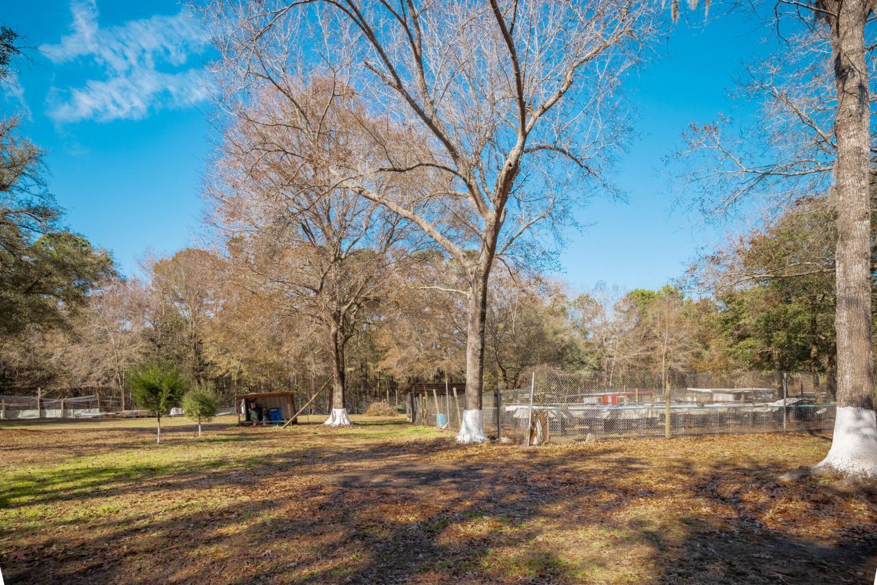 4294 River Road Photo 46