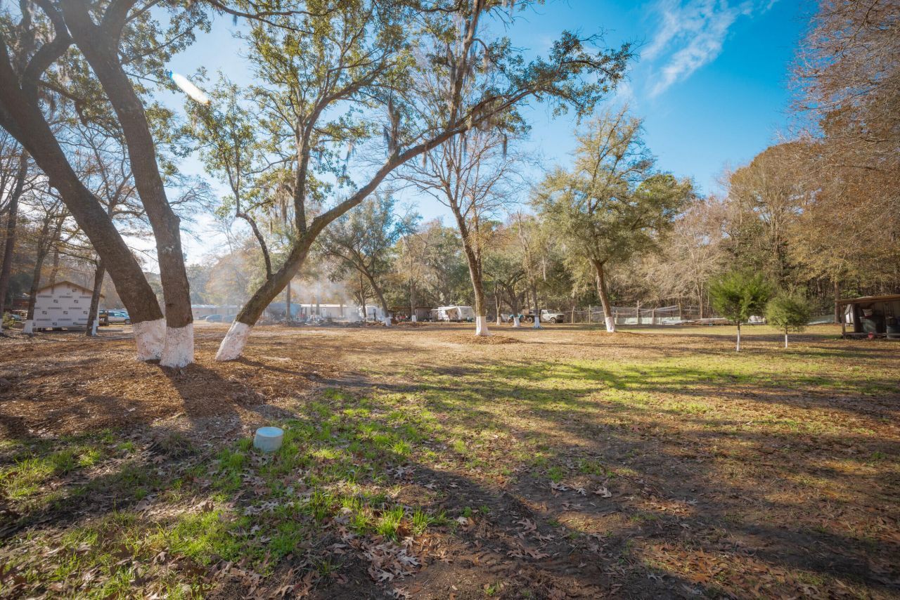 4294 River Road Photo 47