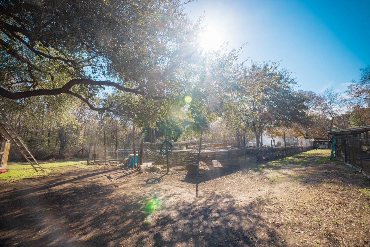 4294 River Road Photo 49
