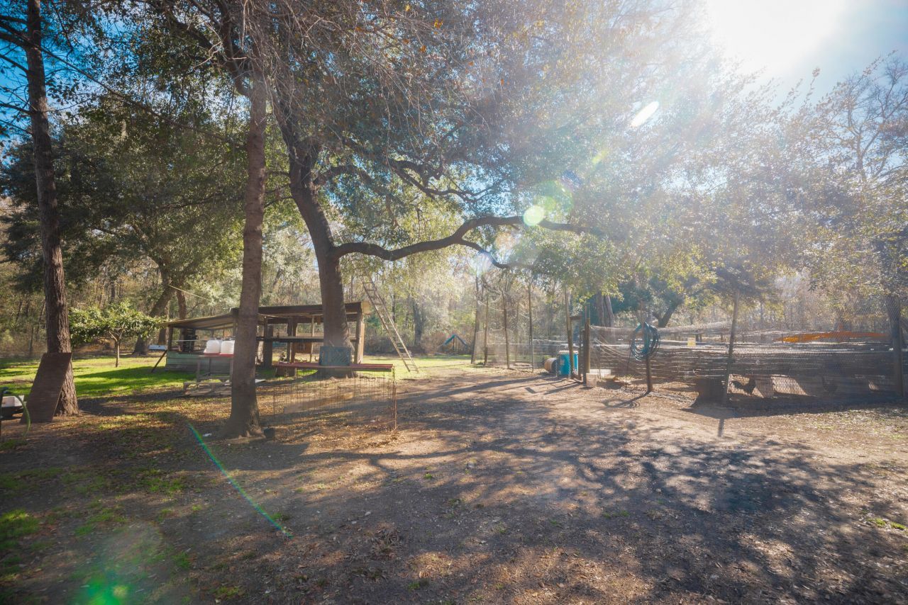 4294 River Road Photo 50