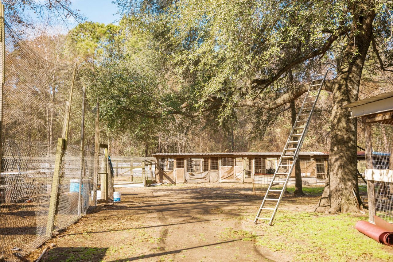 4294 River Road Photo 51
