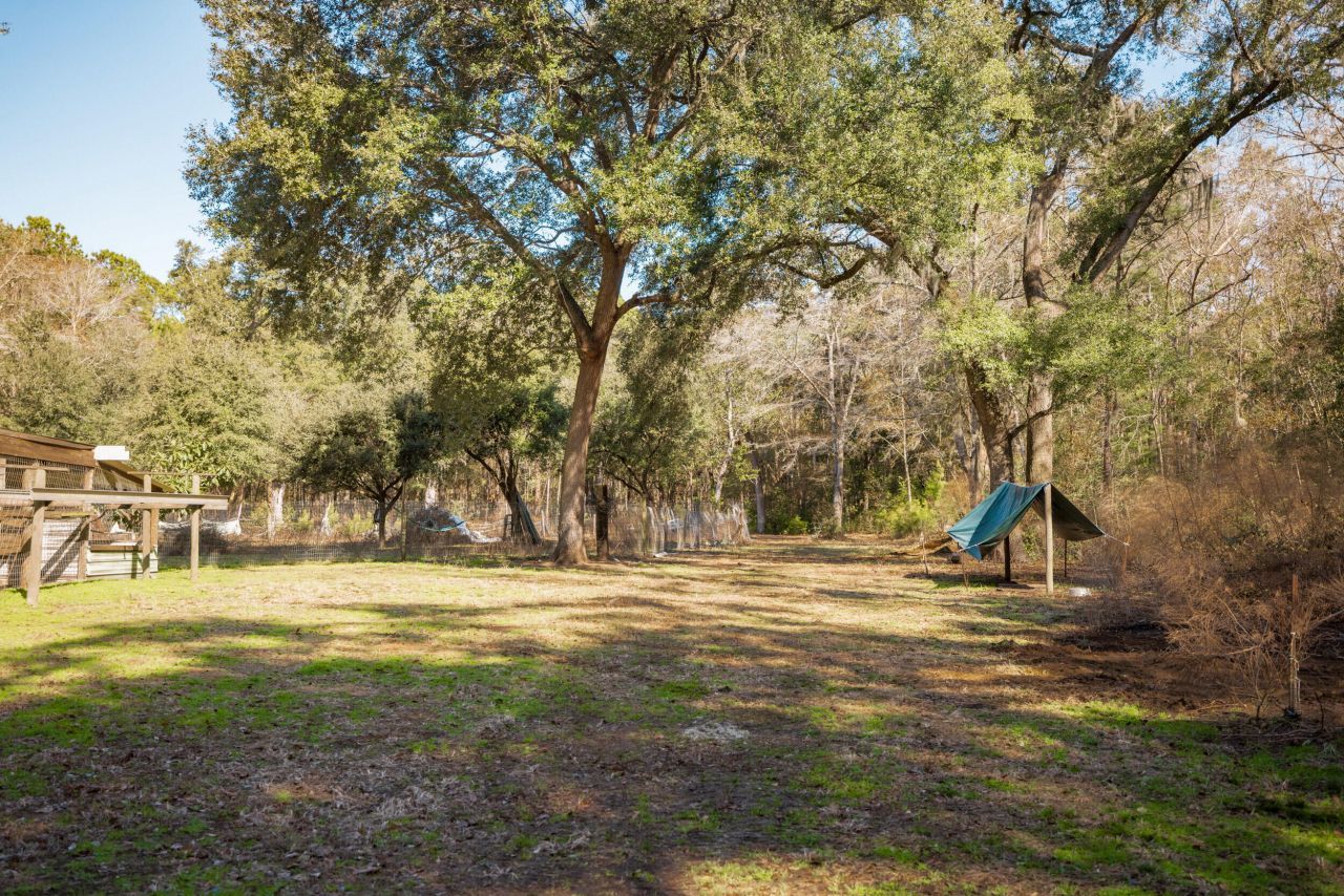 4294 River Road Photo 53
