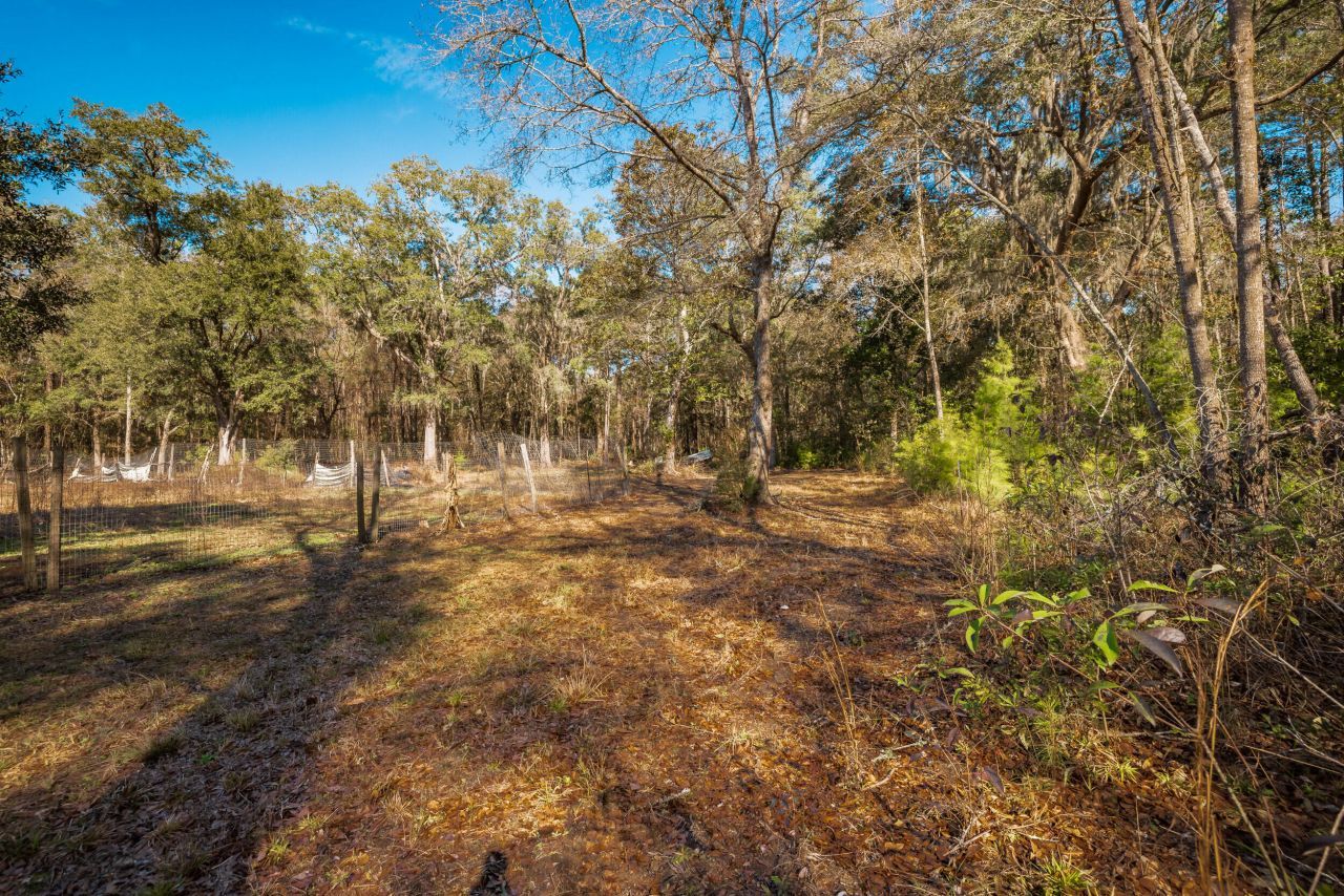 4294 River Road Photo 55