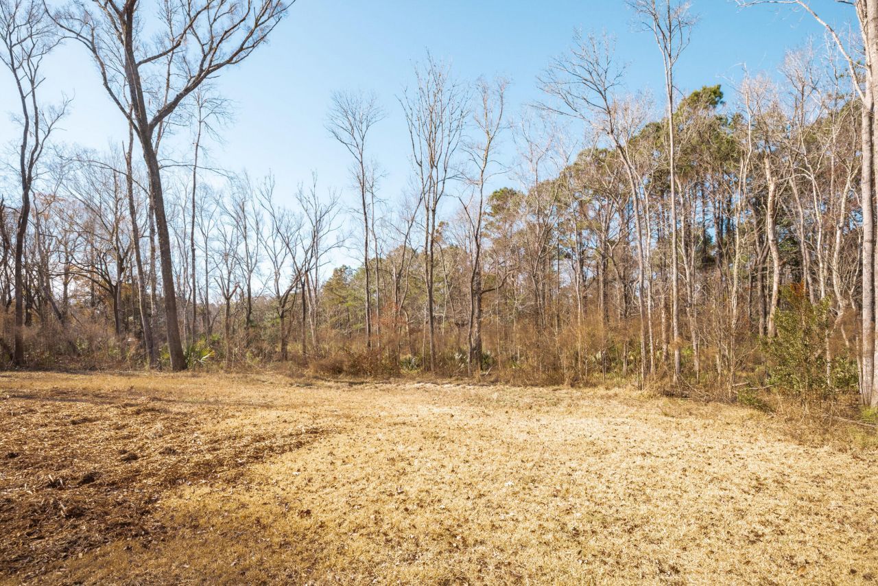 4294 River Road Photo 11