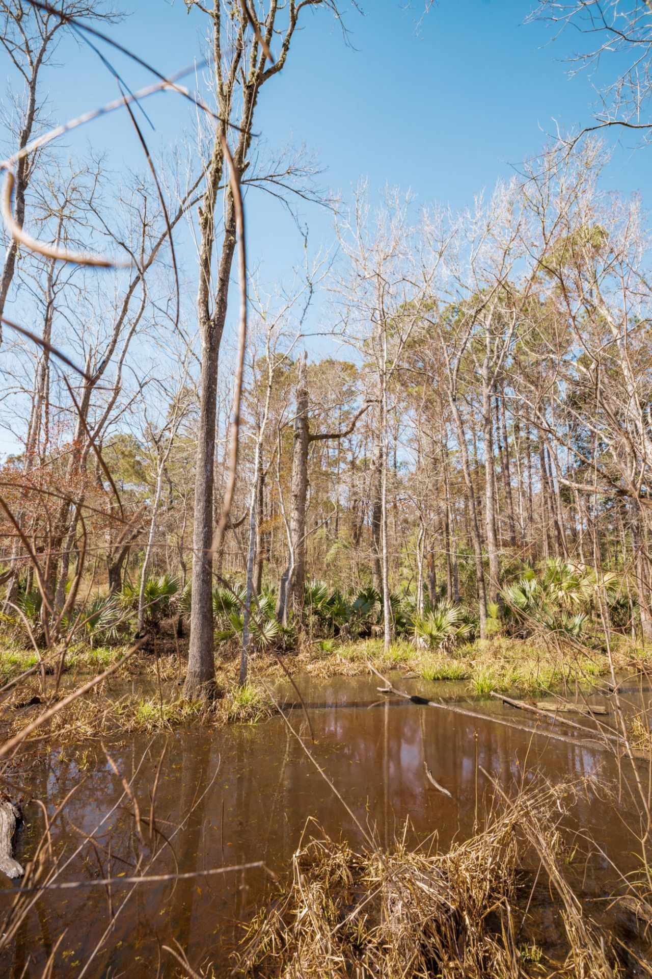 4294 River Road Photo 13